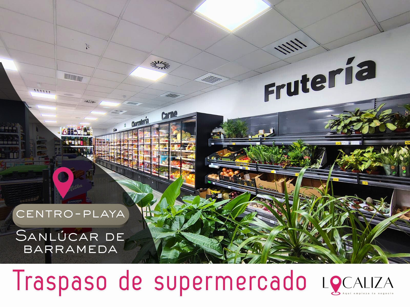 TRASPASO SUPERMERCADO